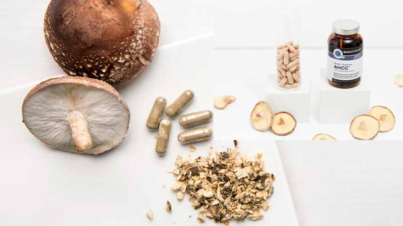 نظرات در مورد کپسول ای اچ سی سی AHCC