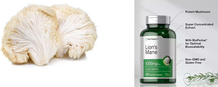 خرید قرص (کپسول) قارچ یال شیر هورباچLions Mane Mushroom 