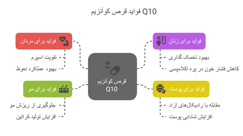 بهترین کوآنزیم کیوتنCoenzyme Q10 خارجی اصل