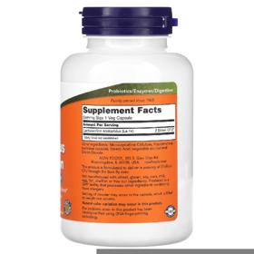 مکمل پروبیوتیک Acidophilus Two Billion از برند NOW Foods