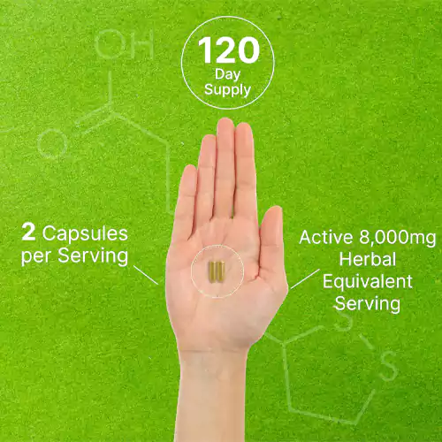 قرص ماشروم کمپلکس ۱۰ در ۱ دیل ساپلِمنت Deal supplement