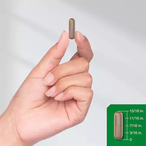 خرید قرص (کپسول) قارچ یال شیر هورباچ( 4200 میلی‌گرم)