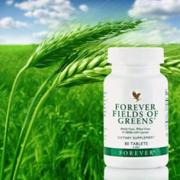 فوراور فیلدز آو گرینز (مکمل سبزیجات) | Forever Fields of Greens